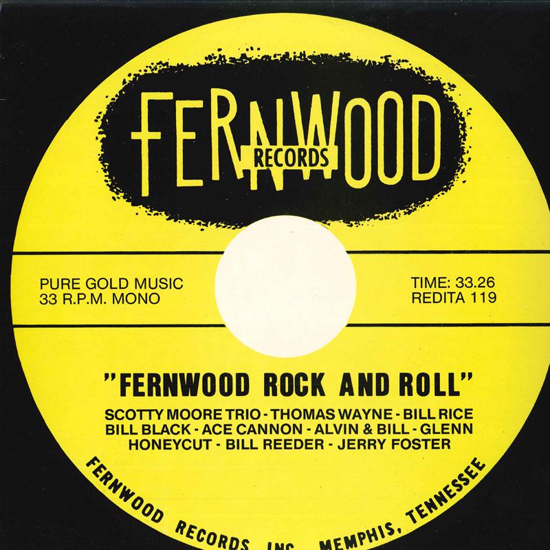 

Виниловая пластинка FERNWOOD - Rock And ROLL RLP119 REDITA 1981 Голландия Рок Б/У