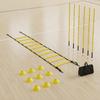 Agility Ladder Set Portable Soccer Training Equipment Complete