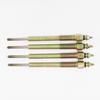 Jiangling Baodian 4D30 Euro 4 Spark & Glow Plugs for Kaiyun N800