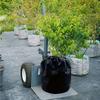 Zugschnur-Pflanzenabdeckung, PP-Material, eng anliegend, für Herbst & Winter Außenbereiche, Idee für Obstbäume, Wesentlich für Gartenpflanzen