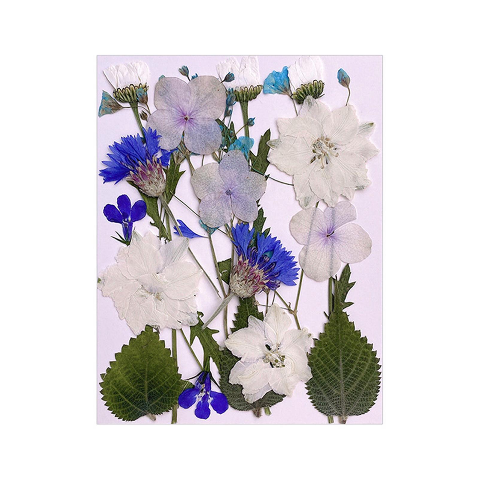 

1 сумка, наклейки с сушеными цветами, прессованные цветы «сделай сам», для чехла для телефона, изготовление ювелирных изделий, поделки, декор для ногтей 40#