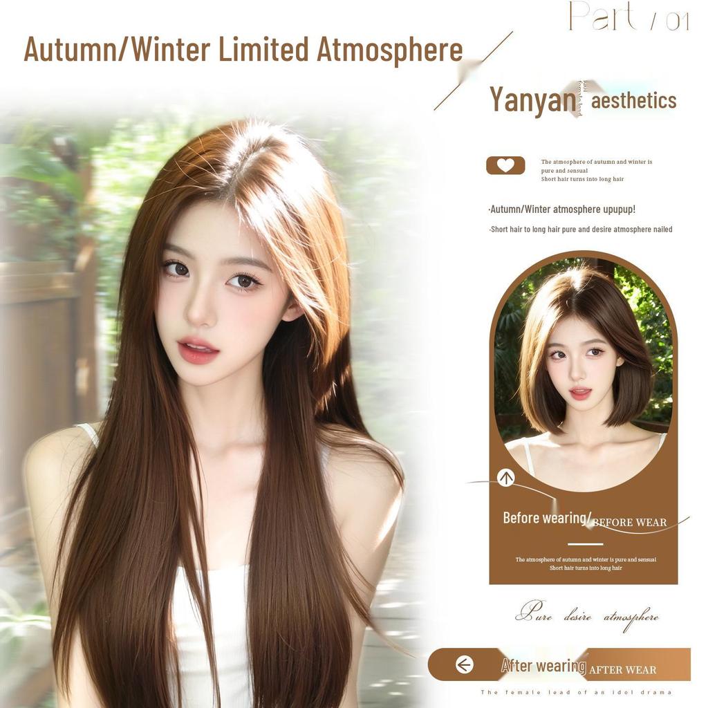 Women's Long Black Hime Cut Seamless Wig - Realistic Full Coverage, Age-Defying Straight Hair