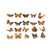 PET Butterfly & Cartoon Stickers for DIY Journaling, Guka Decoration, Kids' Water Bottles, and Scenery Designs.