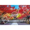 Epoch 1000 Piece Jigsaw Puzzle, Japanese Scenery, Beautiful Autumn At Shuzenji Temple - Shizuoka ...