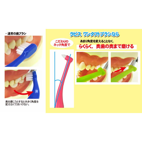 Concours F 100ml L APIS: Dental One-Tufted Brush (Includes 1 Brush) Jointly Developed with Dental Services, Swedish-Style Brushing for Finishing Brush