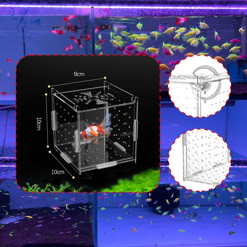 Aquarium Breeding Box Separator Clear Acclimation Hatchery Tank Box for Clown Guppy Small es