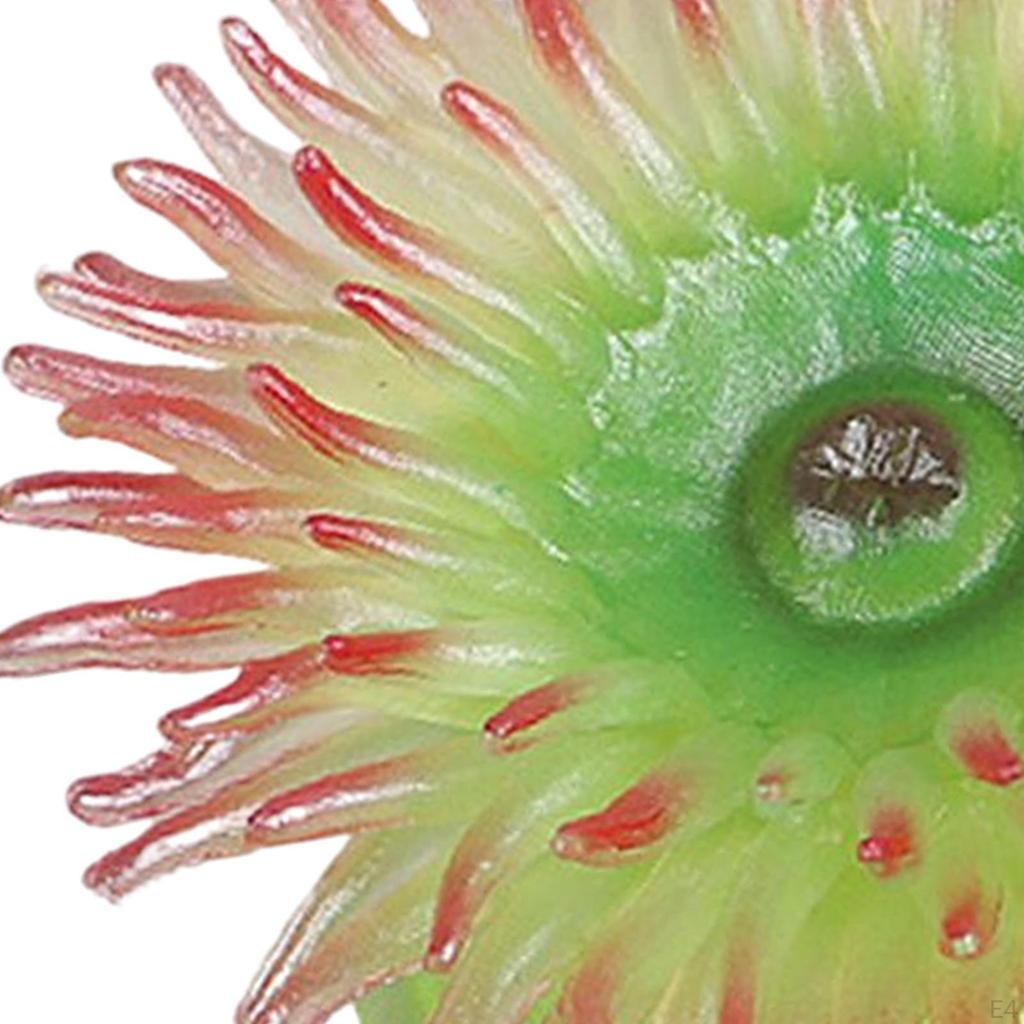 Aquarium Sea Anemone Figures Educational Toys Marine Life Models for Gifts