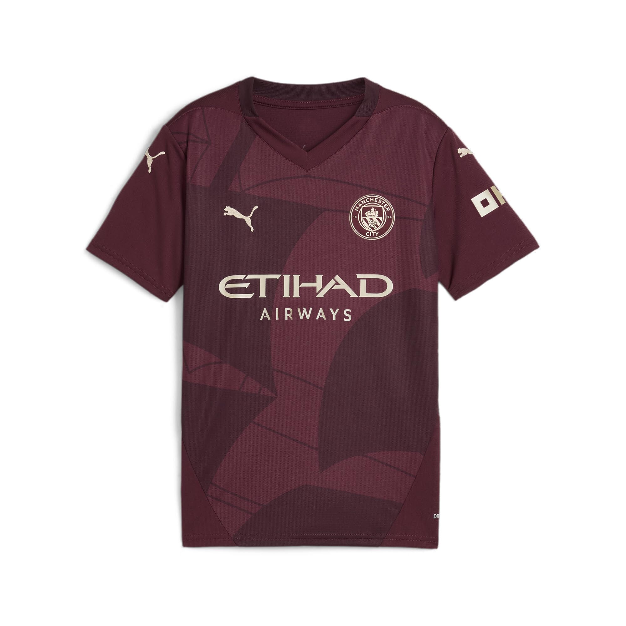 

Спортивная третья майка MCFC Replica Jr 775099 Kids 24 Color Dark Jasper [PUMA] Осень/Зима (03)
