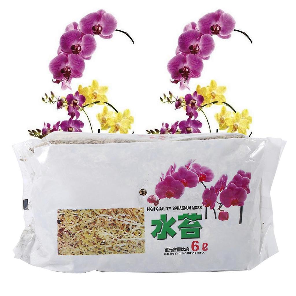 Engrais organique hydratant à base de mousse de sphaigne de jardin 6 L pour orchidée Phalaenopsis