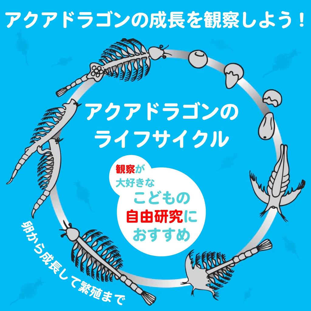 Aqua Dragons Aqua Dragon Breeding Kit Japanese Version Artemia Breeding Observation Genuine Product 4001-J