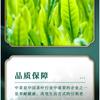 CHINA TEA Black Tea No.1 Yunnan FengQing Dianhong Dian Hong Tea 300g