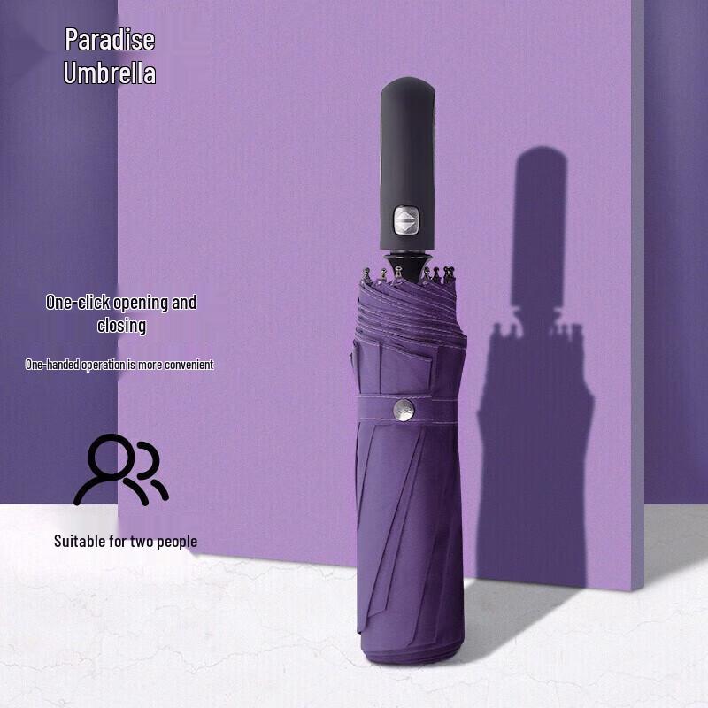Heaven Umbrella Automatic 10-Rib Compact Umbrella