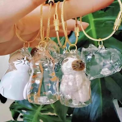 Transparent Cat Hair Storage Box Pet Fur Keepsake Capsule for DIY Crafts Memorial Gift for Pet Lovers Home Display Handmade Deco