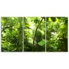 Dreiteiliger Leinwanddruck „Waldblätter grün“.