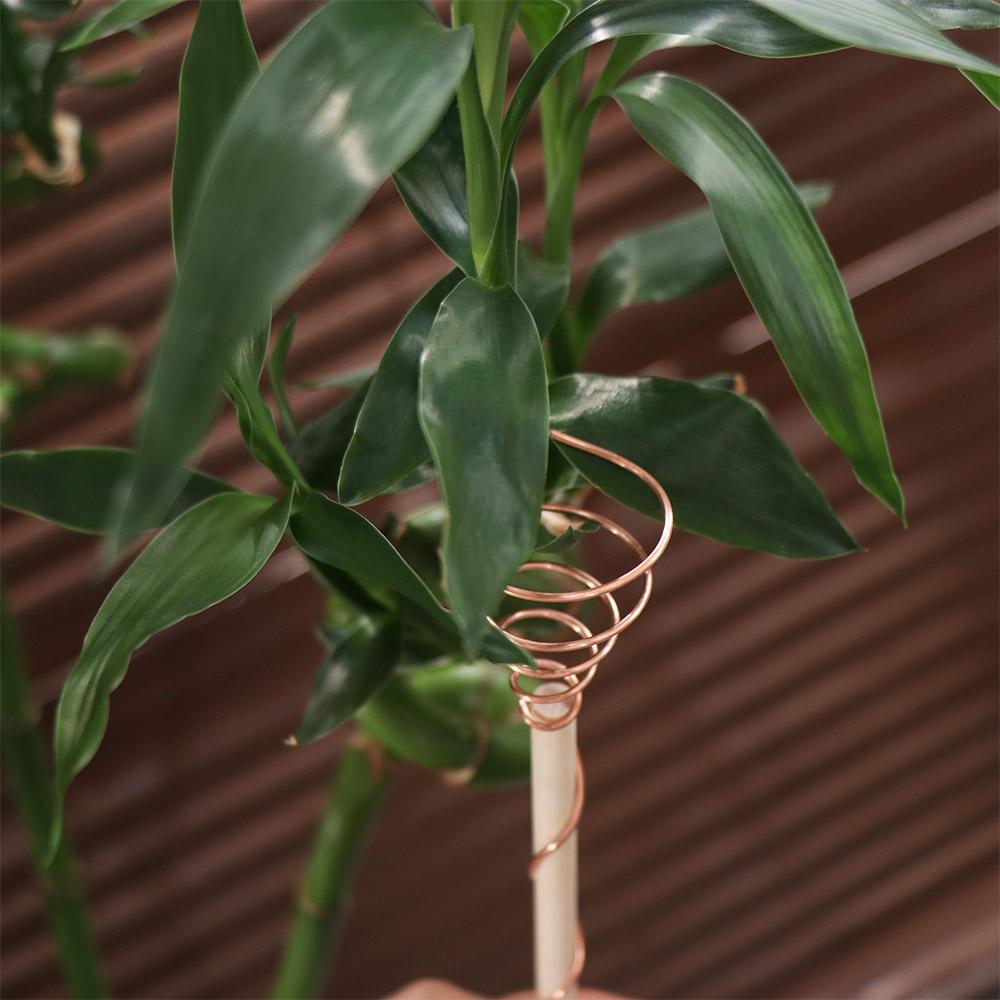 Wire Coil Gardening Copper Coil Antennas Copper Electroculture Vegetables Stake Garden
