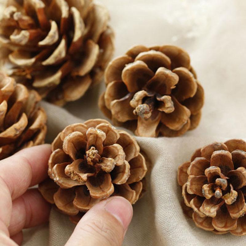 Mini pigne decorative di artigianato natalizio, pigna in legno per vaso di riempimento per albero di Natale acquista in modo economico - spedizione gratuita, recensioni reali con foto
