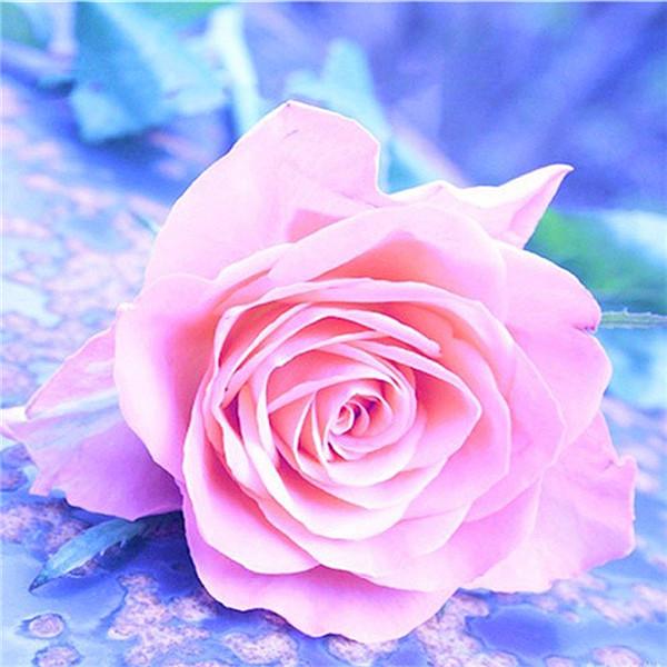 huacan Bricolage Mosaïque de broderie diamant 5D Peinture de fleurs Rose Point de croix Décoration de maison