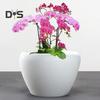 Ceramic Flowerpot Large Circular Opening Planter Pot Colored Glaze Finish Flower Pot with Drainage Hole for Indoor Outdoor Use