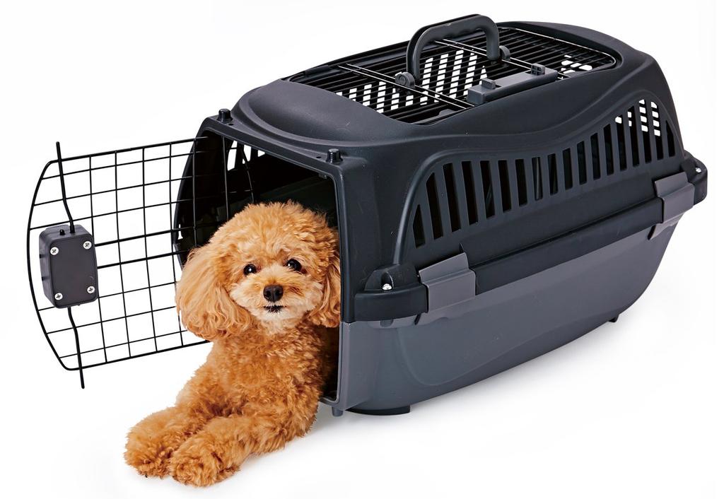 Petio Smile Pet Size M 2-door Carrier, Black,