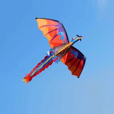 Dětská hračka 3D Dragon Kite Zábavná venkovní létání akční hra Děti s ocasem