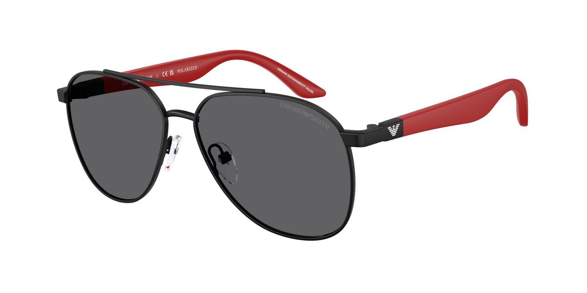 

Sunglasses 0EK2001 MATTE BLACK 53 [Emporio Armani]