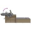 Vidaxl Double Sun Lounger with Canopy and Cushions, Mixed Beige