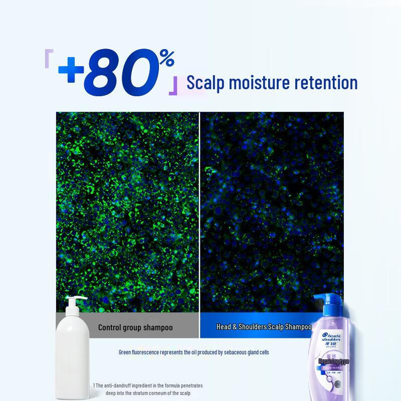 Head & Shoulders Scalp Foundation Hydrating Repair Shampoo