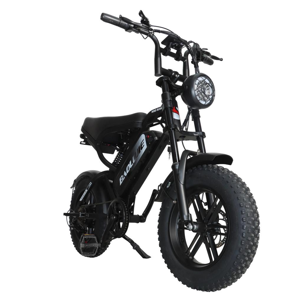 BAOLUJIE F2 500W Motor Off-Road Electric Bicycle 48V13AH Battery 45KM/H Top Speed 16 Inch All-Terrain Wide Tires City Commuting E- Mountain Bike