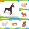 Model Dog Pvc With Doberman Shiba Inu Poodle Samoyed For Display Gift And
