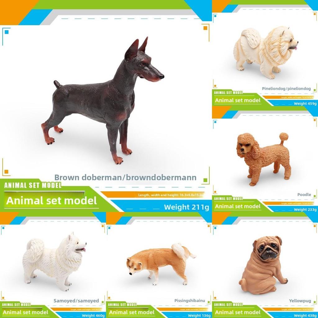 Model Dog Pvc With Doberman Shiba Inu Poodle Samoyed For Display Gift And