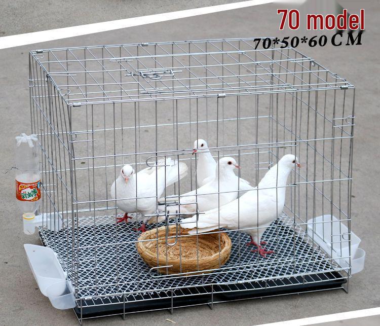 Large Pigeon Cage for Breeding & Pairing with Free Shipping - Ideal for Household Use