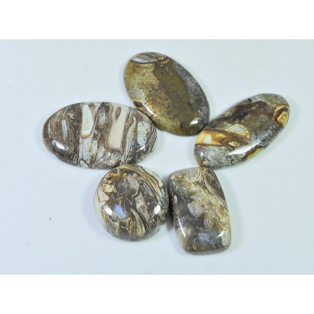 124Cts. Natural Stick Agate Mix Cabochon Loose Gemstone 5Pcs Lot 20-33 MM A-796