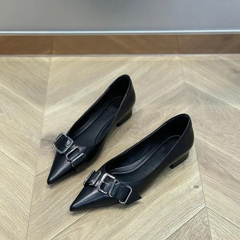 Pointed Toe Women Shoes Designer Shallow Sexy Shoes Chunky Autumn Fashion Shoes New Brand Dress Walking Mujer Zapatillas