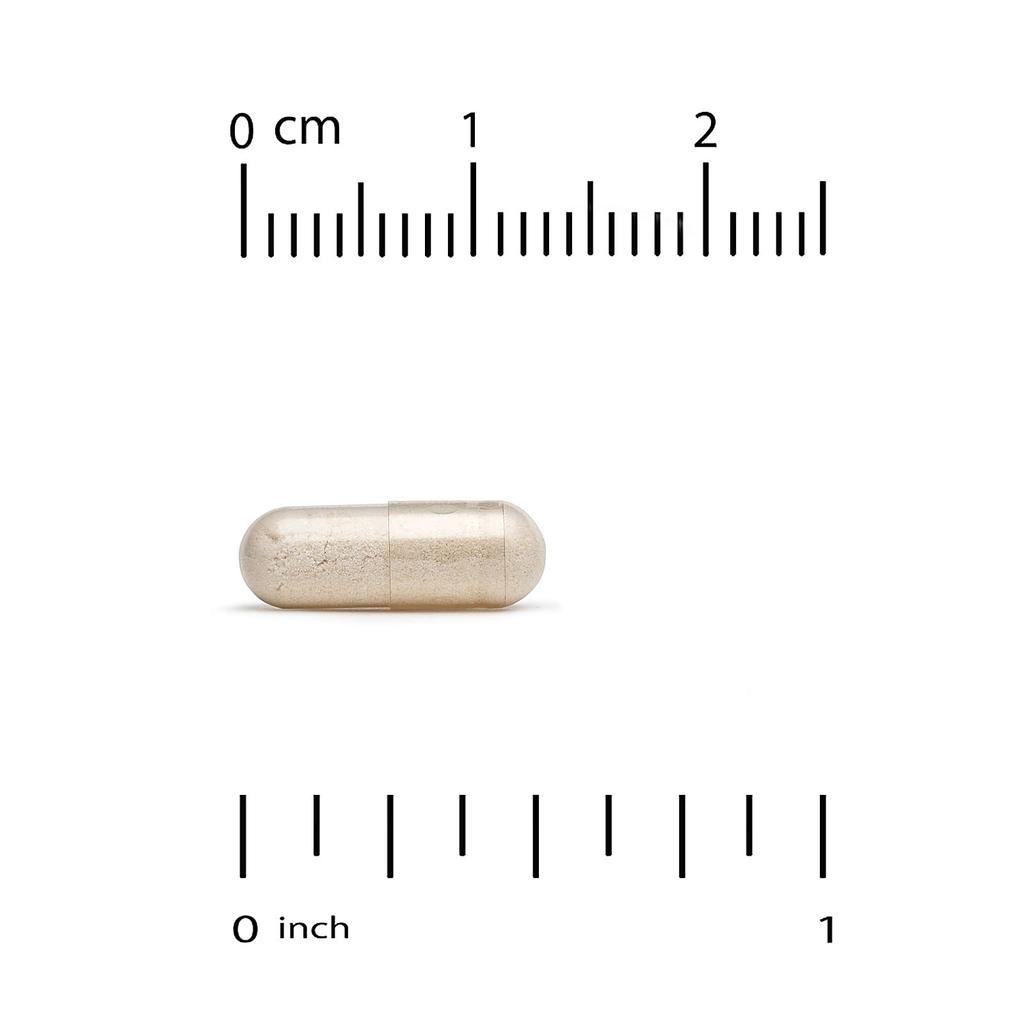 Spermidin, Reiskeimextrakt, Gemüsekapseln 90 (1 mg pro Gemüsekapsel)