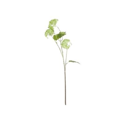 Vale Viburnum Spray