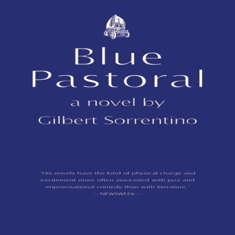Blue Pastoral by Gilbert Sorrentino Paperback Book 9781564782519