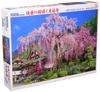 Puzzle Beverly 1000 pièces Temple Kuonji avec fleurs de cerisier pleureur x (49 72 cm) 51-252