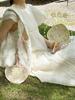 Fresh Hand-Woven Original Fan Ins Style Summer Refreshing Durable Fan Travel Portable Photo Shooting Photo
