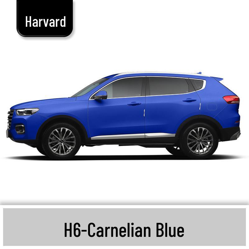 Haval H6 Cool Dog Touch-Up Pen, Black Spot & Ruixue White Scratch Repair Paint