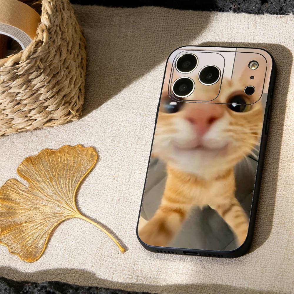 Funny Of Pet Cats  Phone Case For iPhone 17, 16,15,14,13,12,11 X XR Plus,Others Soft Black Cover