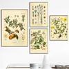 Vintage Wild Plant Canvas Malerier Botanisk Flower Study Peon Plakat og trykk Vegg Art Bilde for Stue Decor Cuadros