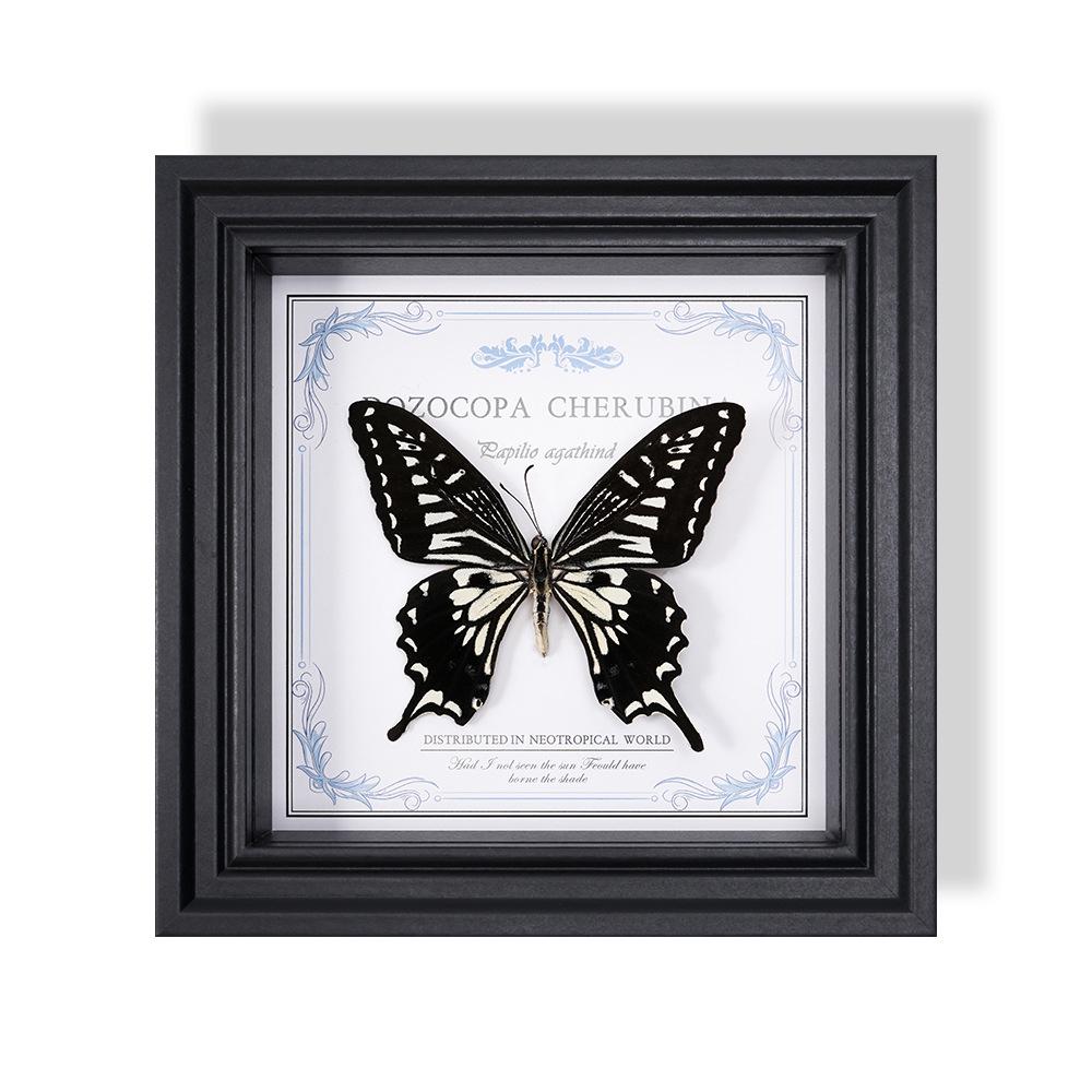 Wall-Mounted Butterfly Specimen Photo Frame: Home Decor & Gift for Valentine's Day, Qixi, Birthday, Couples & Insect Lovers