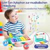 HOLA Toddler Toys 1+ Years, Hammering Xylophone Musical Toy for Boys Girls, 12+ Months Baby Gift, Montessori Educational Toy