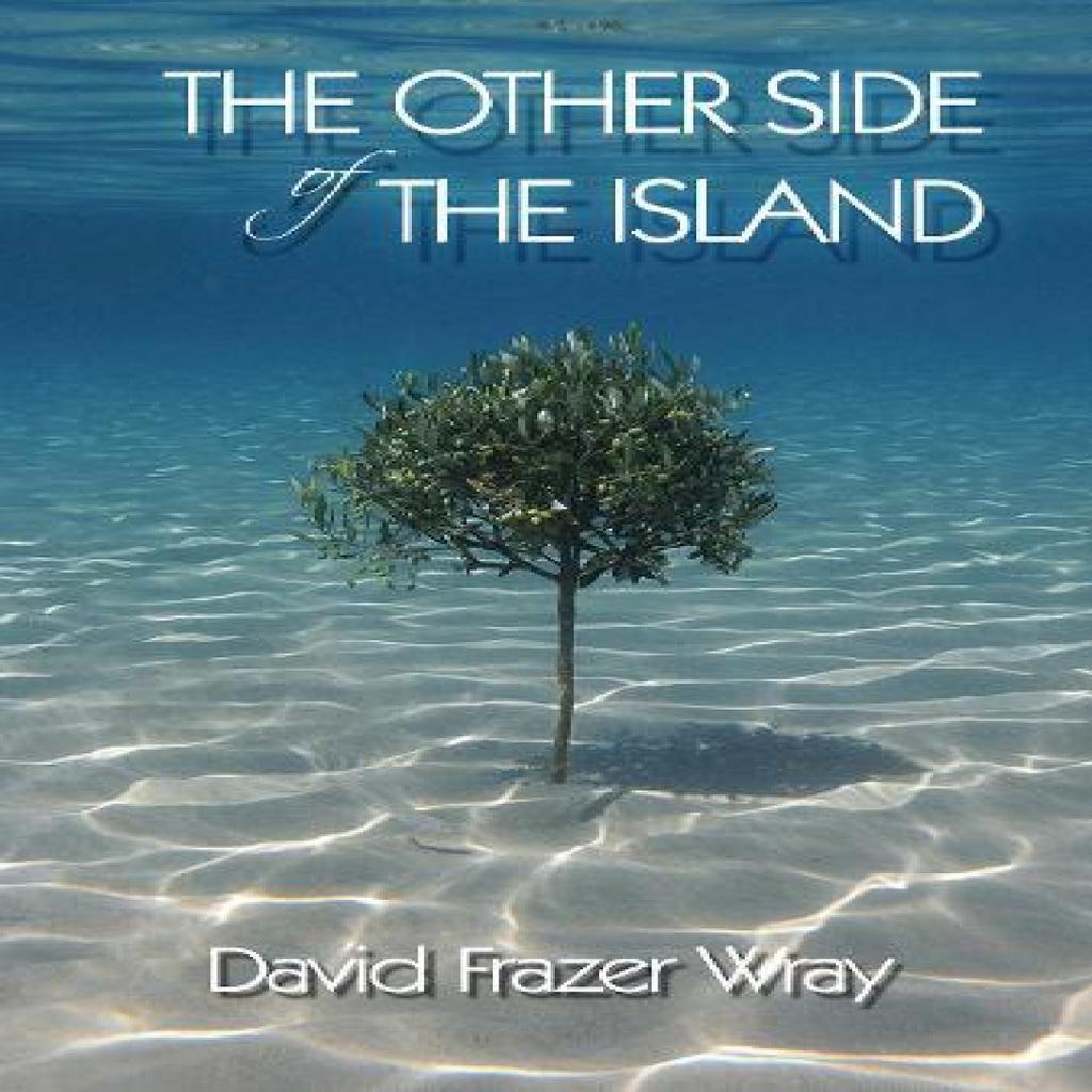 The Other Side Of The Island by David Frazer Wray Paperback Book 9781914399657