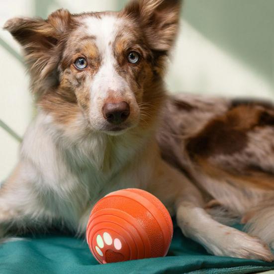 Interactive Dog Ball Smart Toy with 4 Modes Small Medium Dogs Automatic Rolling Bouncing Waterproof Rechargeable Dog Toy