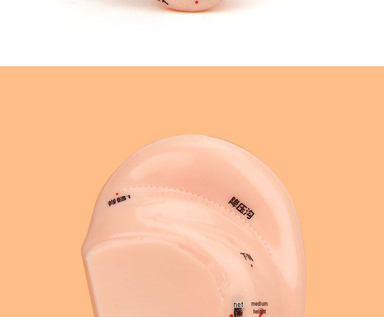 18cm Ear Acupuncture Meridian Model