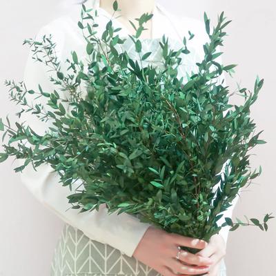 Eucalyptus Fine Leaves 120G Us Leaves Eucalyptus Mori Home Flower Arrangement Wedding Scene Soft Decoration With Leaves Eucalyptus