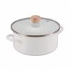 Pearl Metal 20cm Enamel Pot with Glass Lid, Induction Compatible, Only One Stage HB-6161