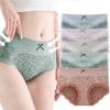5-Pack Women's High Waist Lace Cotton Briefs Soft Comfortable Breathable Underwear