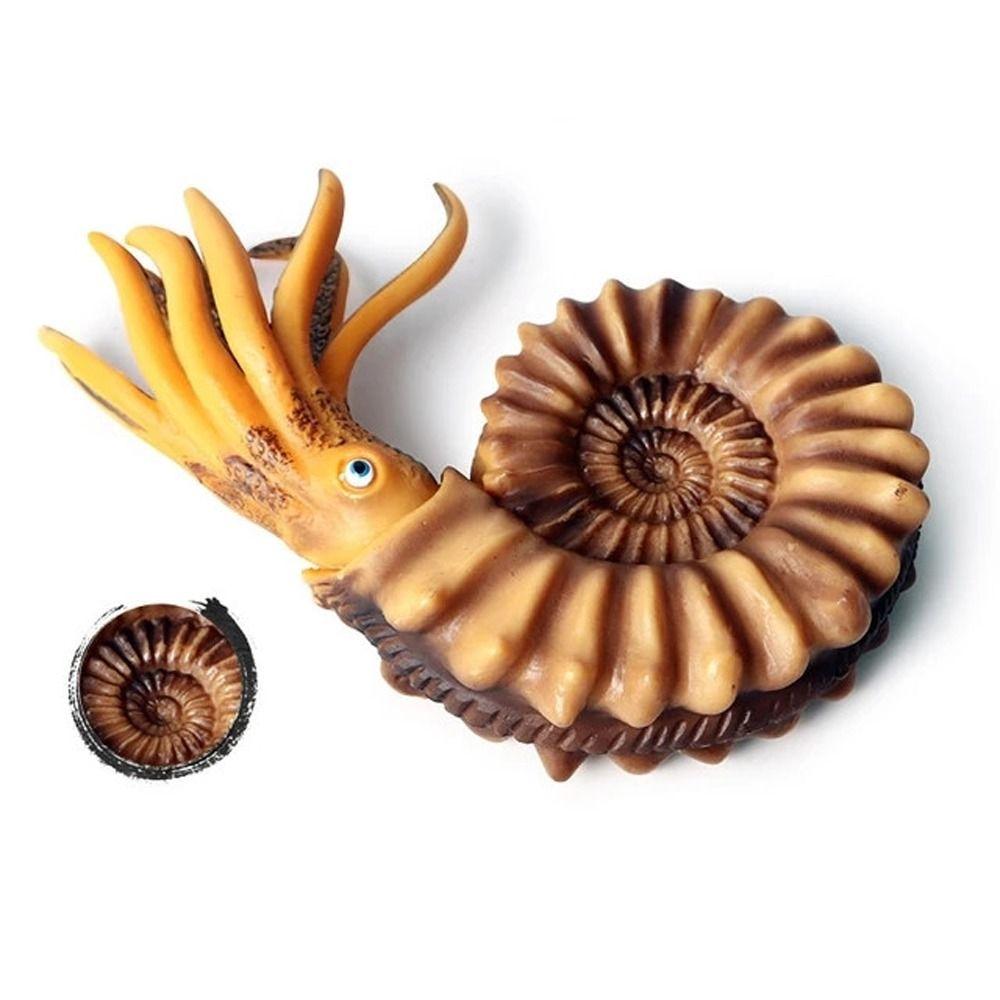Simulation Ozeantier Figur Nautilus Trilobit Figur Meeresleben Figuren Kinderspielzeug